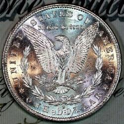 1880-s Pl Superb++gem Bu Ms Morgan Silver Dollar From Original Collection