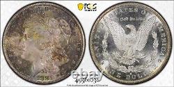 1881-S $1 PCGS MS66 CAC Morgan Silver Dollar Monster Toner Uncirculated Gem BU++