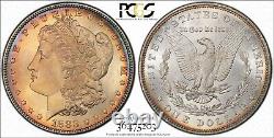 1883 PCGS MS67 Morgan Silver Dollar Beautiful Album Toned Gem 475203