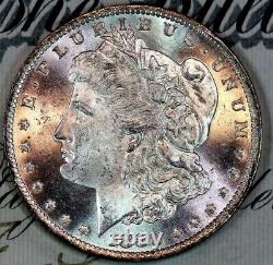 1883-o Superb+gem Bu Ms Morgan Silver Dollar From Original Collection