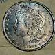 1884o Tidy House Card Morgan Silver Dollar With Repunched Mint, Gem Bu With Tone