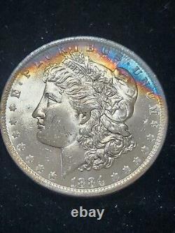 1884-O Morgan Dollar Silver Gem BU++ Condition Stunning Electric Blue Toned