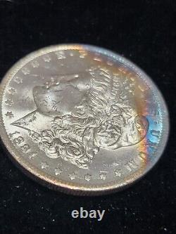 1884-O Morgan Dollar Silver Gem BU++ Condition Stunning Electric Blue Toned