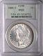 1884-o $1 Morgan Silver Dollar Gem Pcgs Ms65 #2338752 Ogh Pretty Crescent Toning