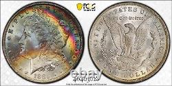 1885-O Morgan Dollar PCGS MS65 Vibrant Iridescent Color Rainbow Toned Gem WithVid