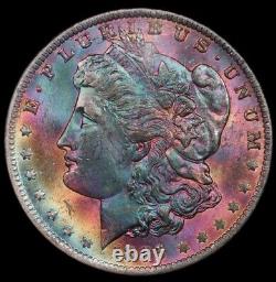 1885 O Morgan Silver Dollar NGC MS63 Star CAC Monster Rainbow Toned GEM