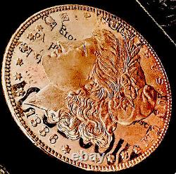 1886DMPL Morgan Silver Dollar -JUST SHY OF GEM UNCIRCULATEDDEEP MIRRORSL? K