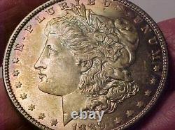 1889 $1 Morgan Silver Dollar Gem Unc Beautiful Mint State Rainbow Toned