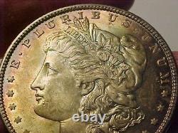 1889 $1 Morgan Silver Dollar Gem Unc Beautiful Mint State Rainbow Toned