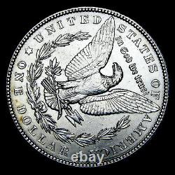 1904 Morgan Dollar Silver - Gem BU+ Stunning Coin - #XX872