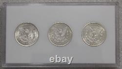 Vintage 1921 PDS $1 Morgan Silver Dollar Set Of Coins CH/Gem BU